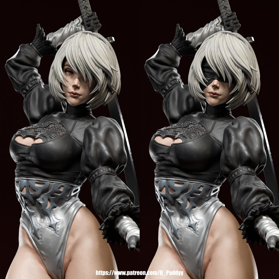 2B Figure